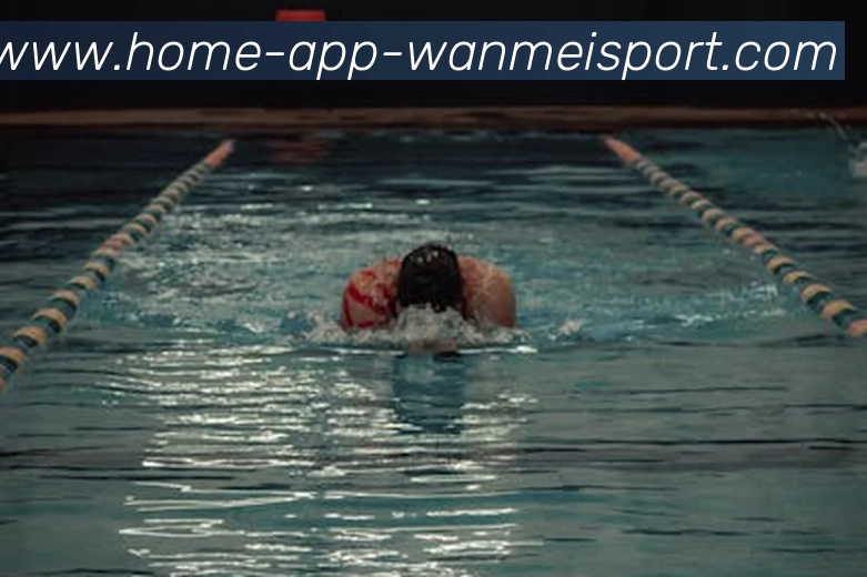 完美体育app平台生态图